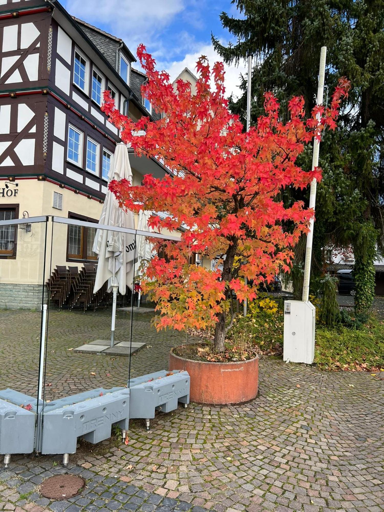 Hotel Wittgensteiner Hof Bad Laasphe Exteriér fotografie